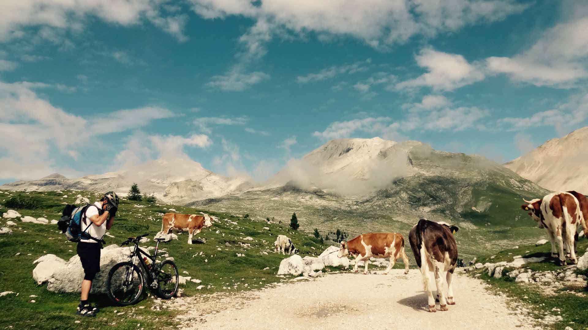 Coverbild Mountainbike Kongress 2018