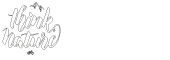 Mountainbike Kongress Österreich