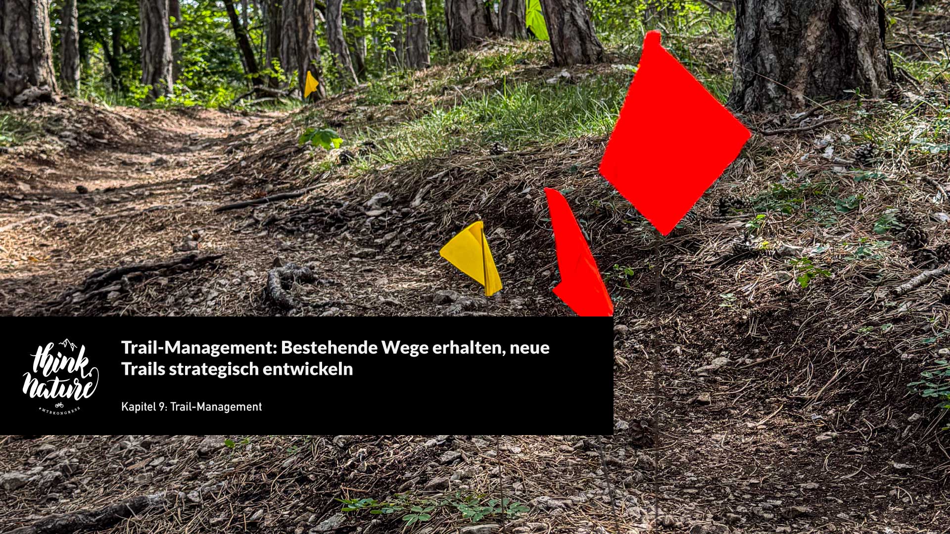 Trail-Management Übersicht aus dem Green Paper der ambi Mountainbike-Strategie