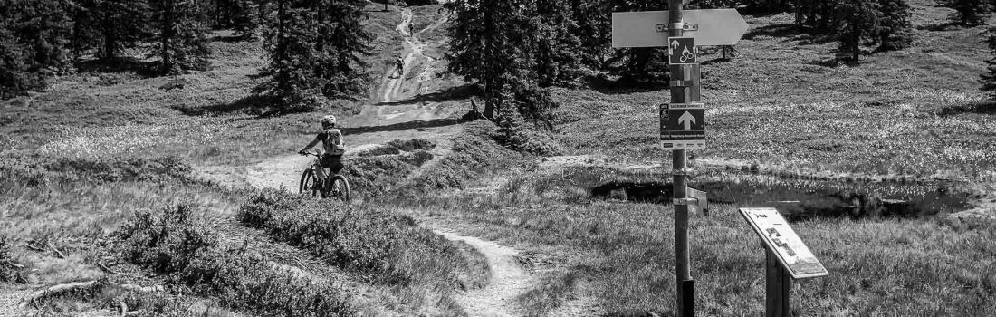 Geschützt: Trail Revolution Neudenken des Mountainbike-Erlebnisses